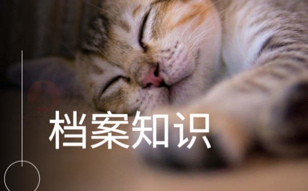 个人补办档案流程怎么处理？