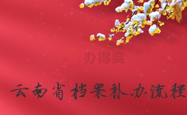 云南省档案补办流程是哪些？