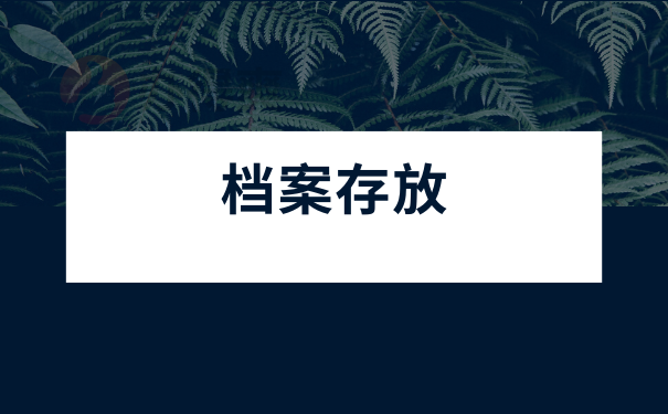 档案如何存入人才交流中心？