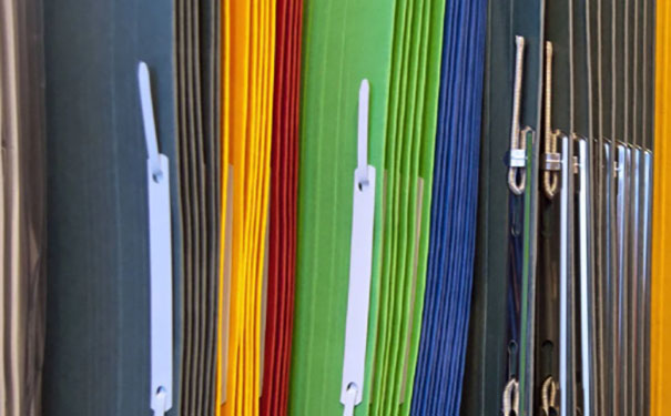 档案丢失了考公务员怎么办？