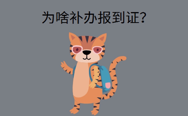 大学生报到证丢了去哪儿补办？