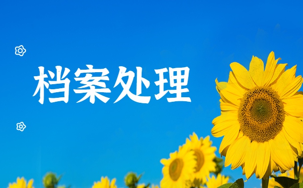 河北省怎么看自己的档案状态查询