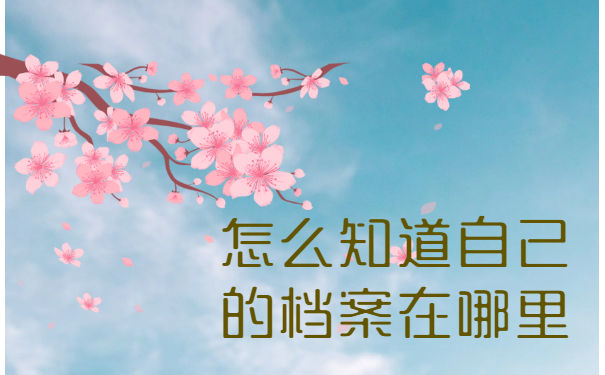 怎么知道自己的档案在哪里? 怎么知道自己的档案在哪里?