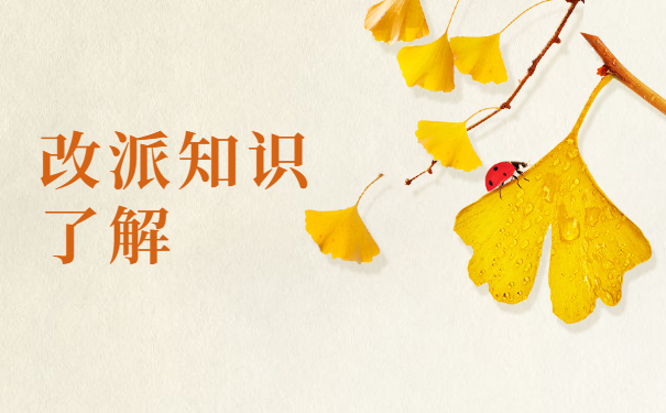 报到证改派回原籍需要哪些手续？