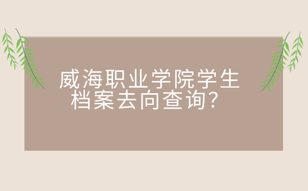 威海职业学院学生档案去向查询？