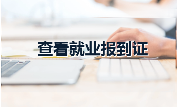 湖南师范大学毕业学生档案查询流程