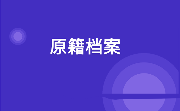 返回原籍地的档案在哪里查询?