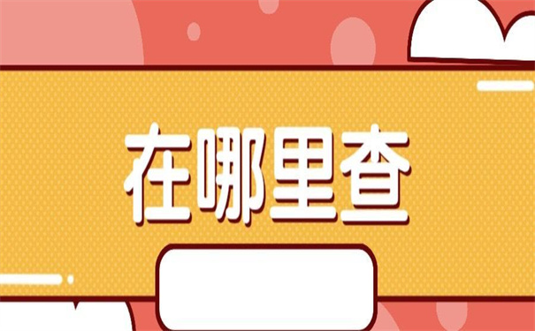 在哪里查询毕业生档案信息？