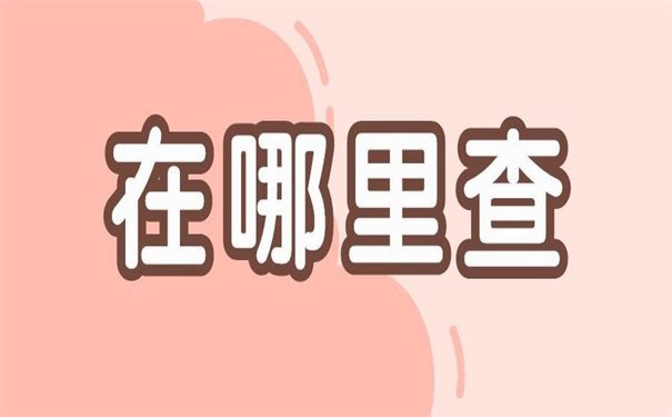 去年毕业生档案在哪里查询？