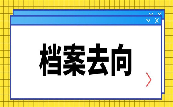 怎样查询大学毕业档案去向？