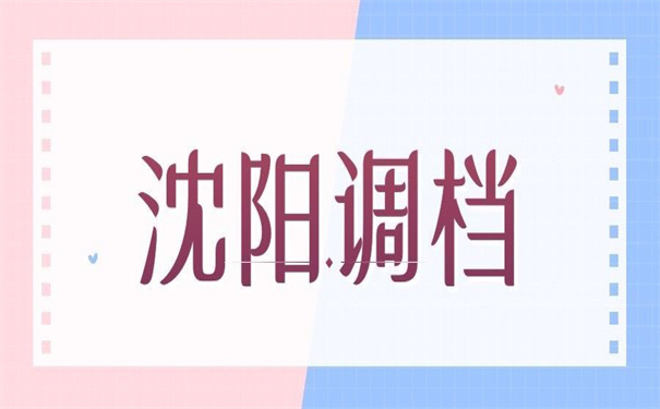沈阳人才市场怎么开调档函？
