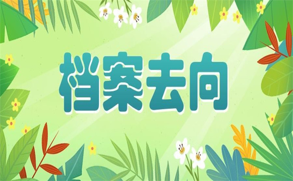 深圳怎么查询个人档案去向？