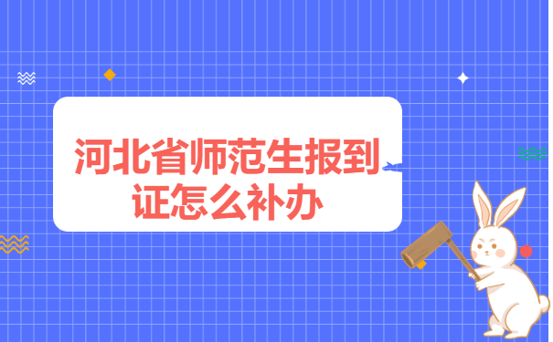 河北省师范生报到证怎么补办?