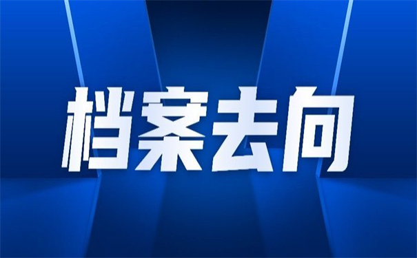 在哪里可以查询档案的去向？