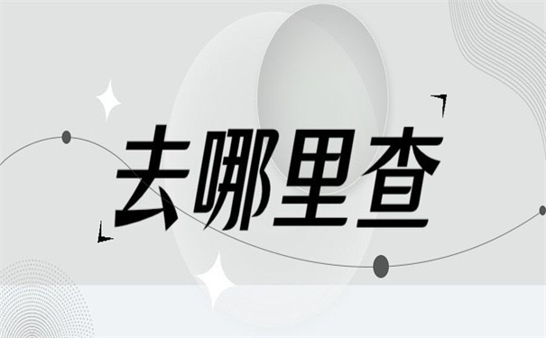 在哪里可以查询档案的去向？