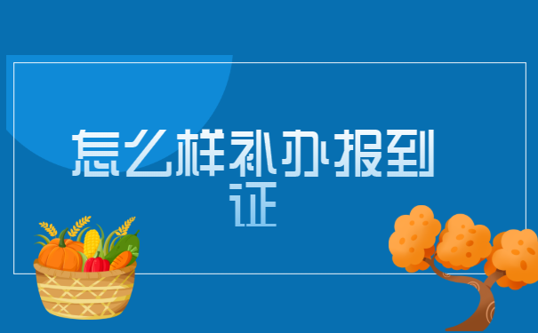 毕业后报到证丢失的补办流程