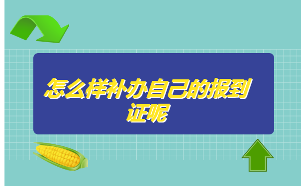 河北大专报到证丢失,怎么补办?