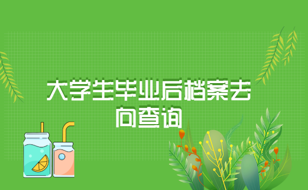 大学生毕业后档案去向查询