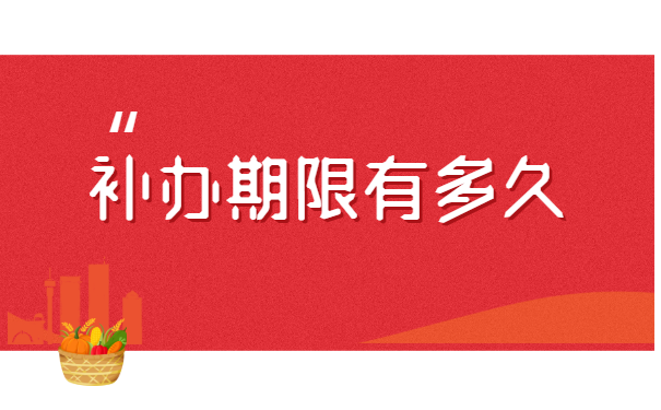 聊城大学就业报到证如何补办?