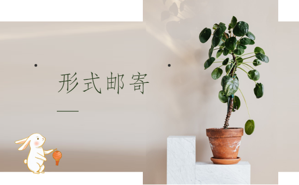 公司离职个人档案怎么调动