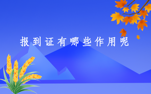 浙江的杭州大学生，报到证丢了怎么补办流程？