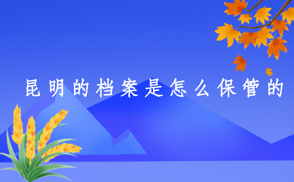 怎么查询个人档案云南昆明？