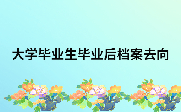 大学毕业生毕业后档案去向查询，毕业生需要知道的档案知识