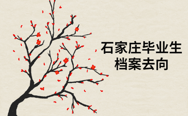 石家庄毕业生档案去向查询，你想要的答案都在这里