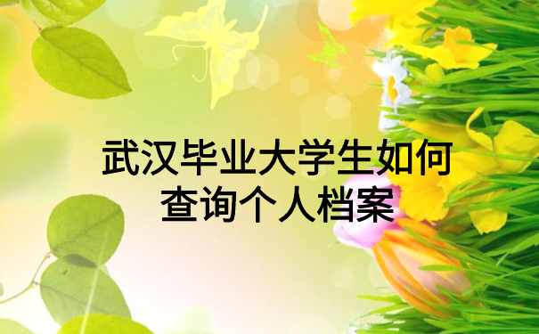 武汉毕业大学生如何查询个人档案，超详细介绍