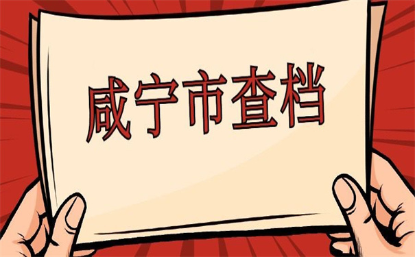 咸宁市个人档案查询入口官网,查询技巧都在这!