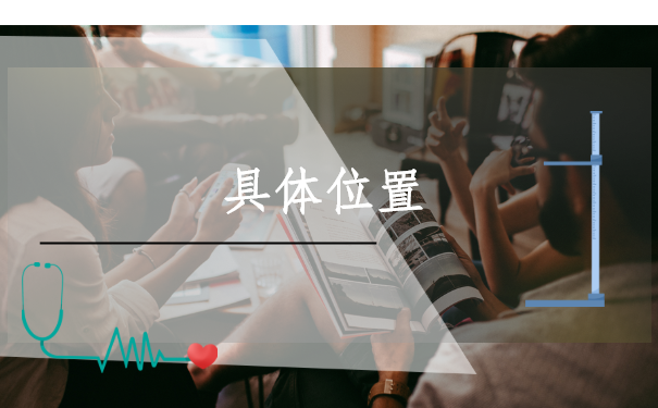 应届毕业大学生怎么查档案？下面是正确的查档方式