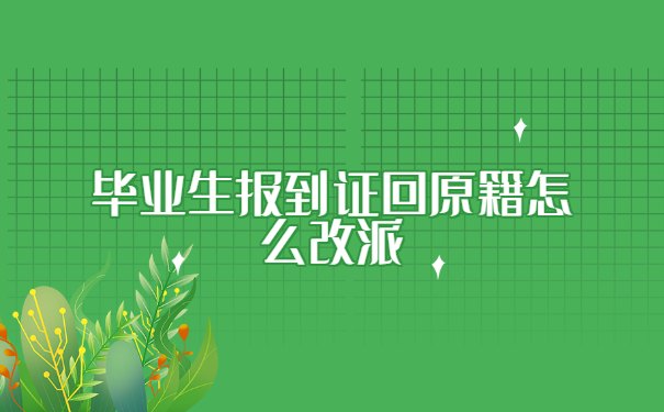 毕业生报到证回原籍怎么改派?
