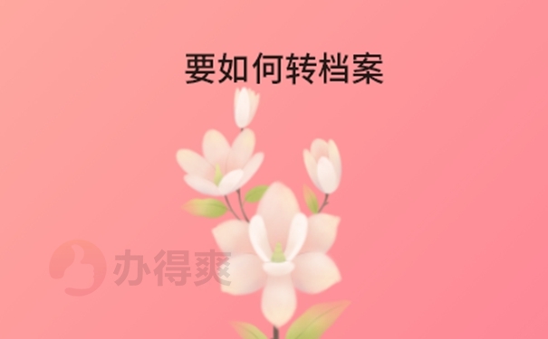 档案在人社局怎样调档？转档思路分享！